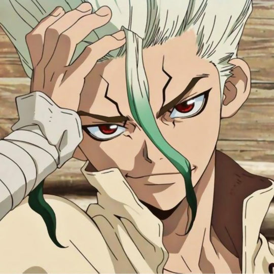 Dr. Stone