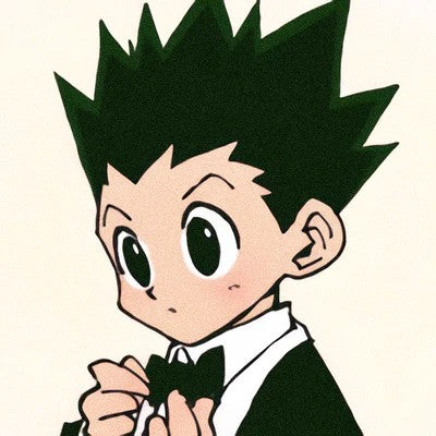 Hunter X Hunter (Series)