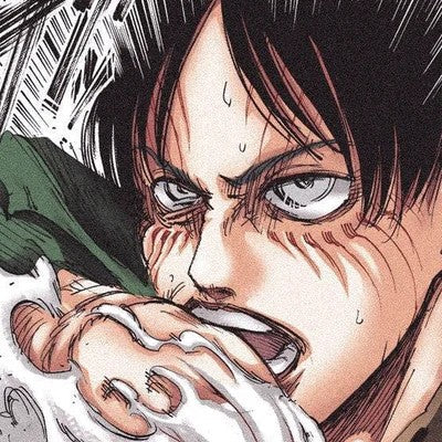 Attack on Titan (Series)
