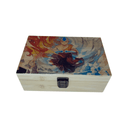 Avatar the Last Airbender Cartoon Stash Box Set - spicedanime